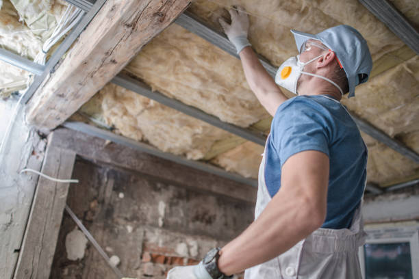 Best Residential Insulation in Circleville, OH